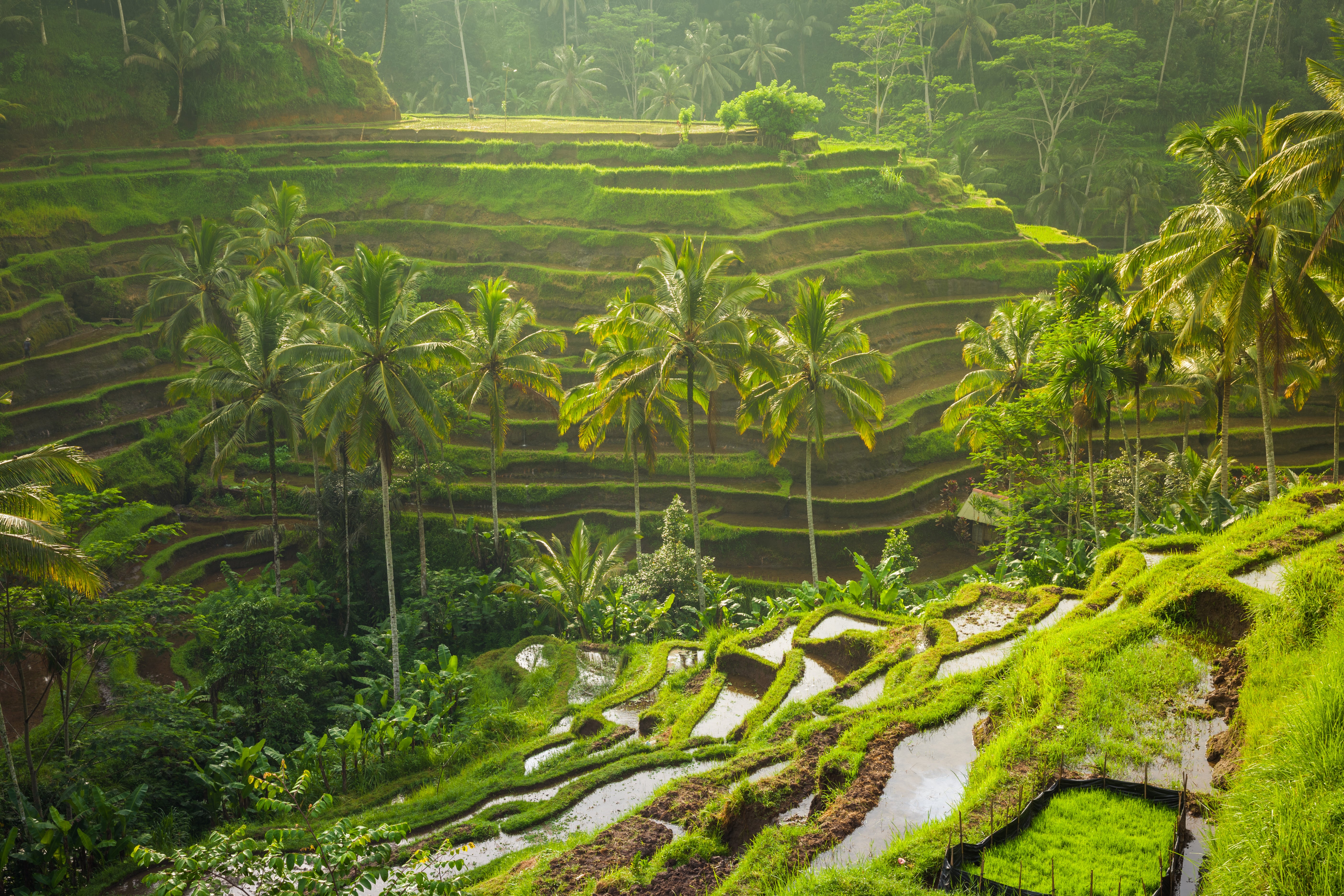 Bali 2025