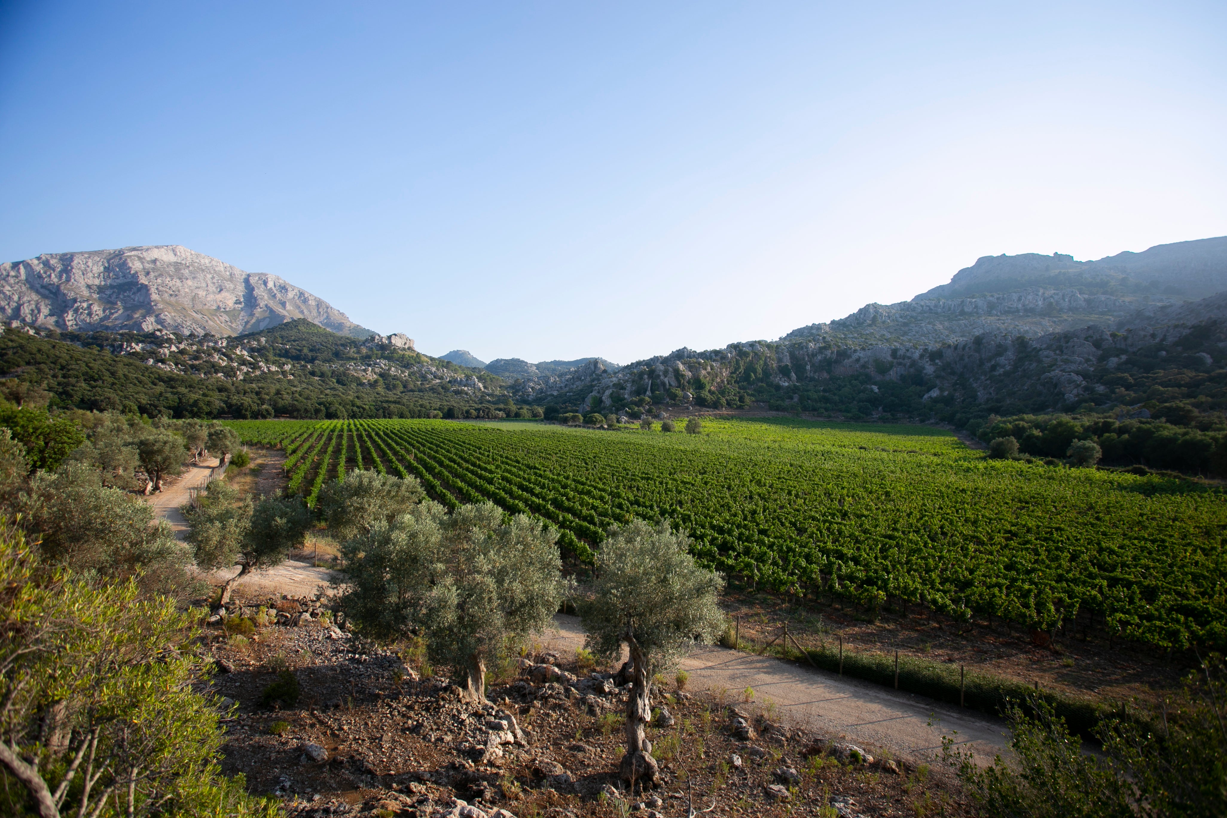 Mallorca 2025