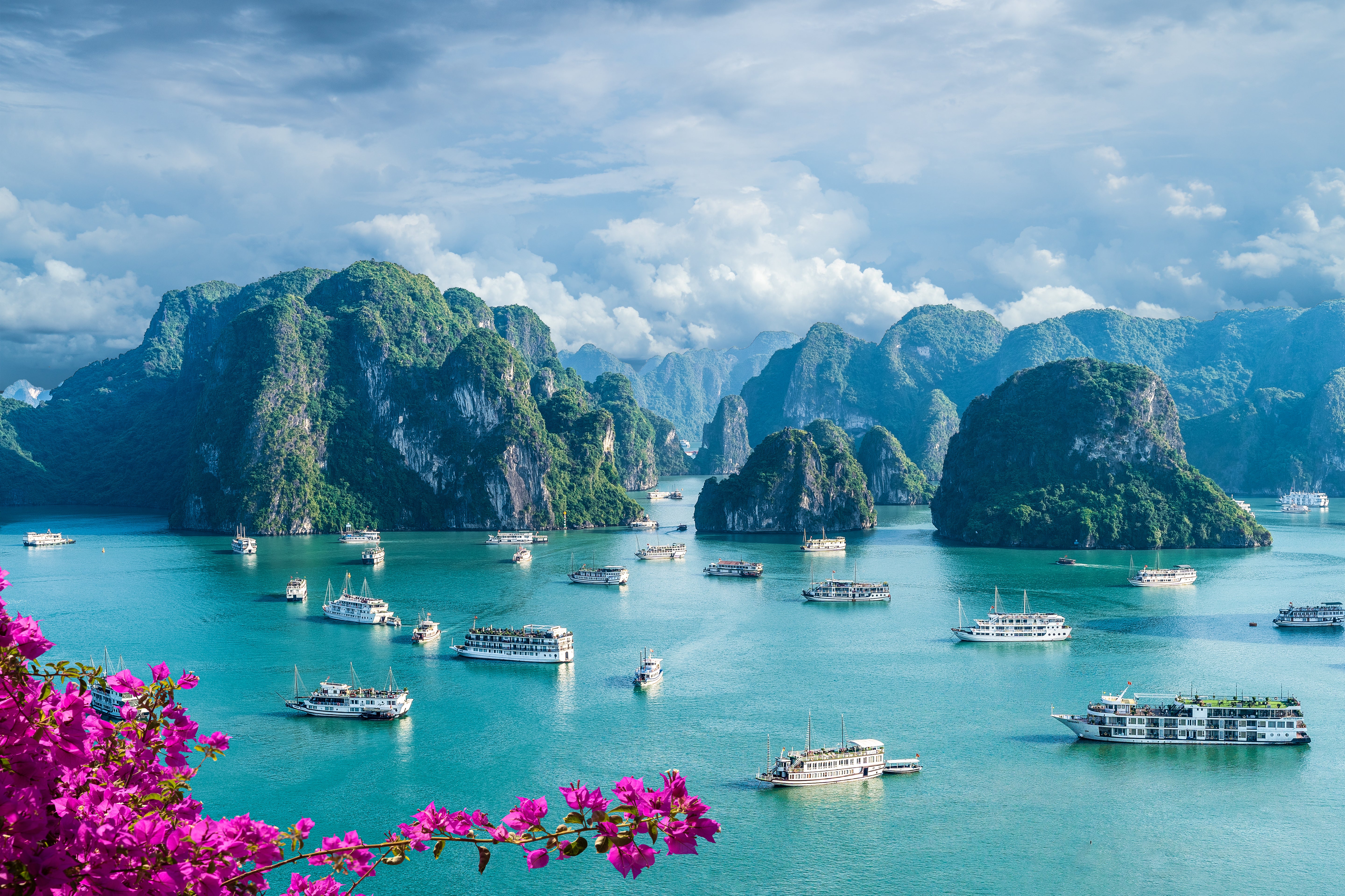 Vietnam 2026 (Coming Soon)