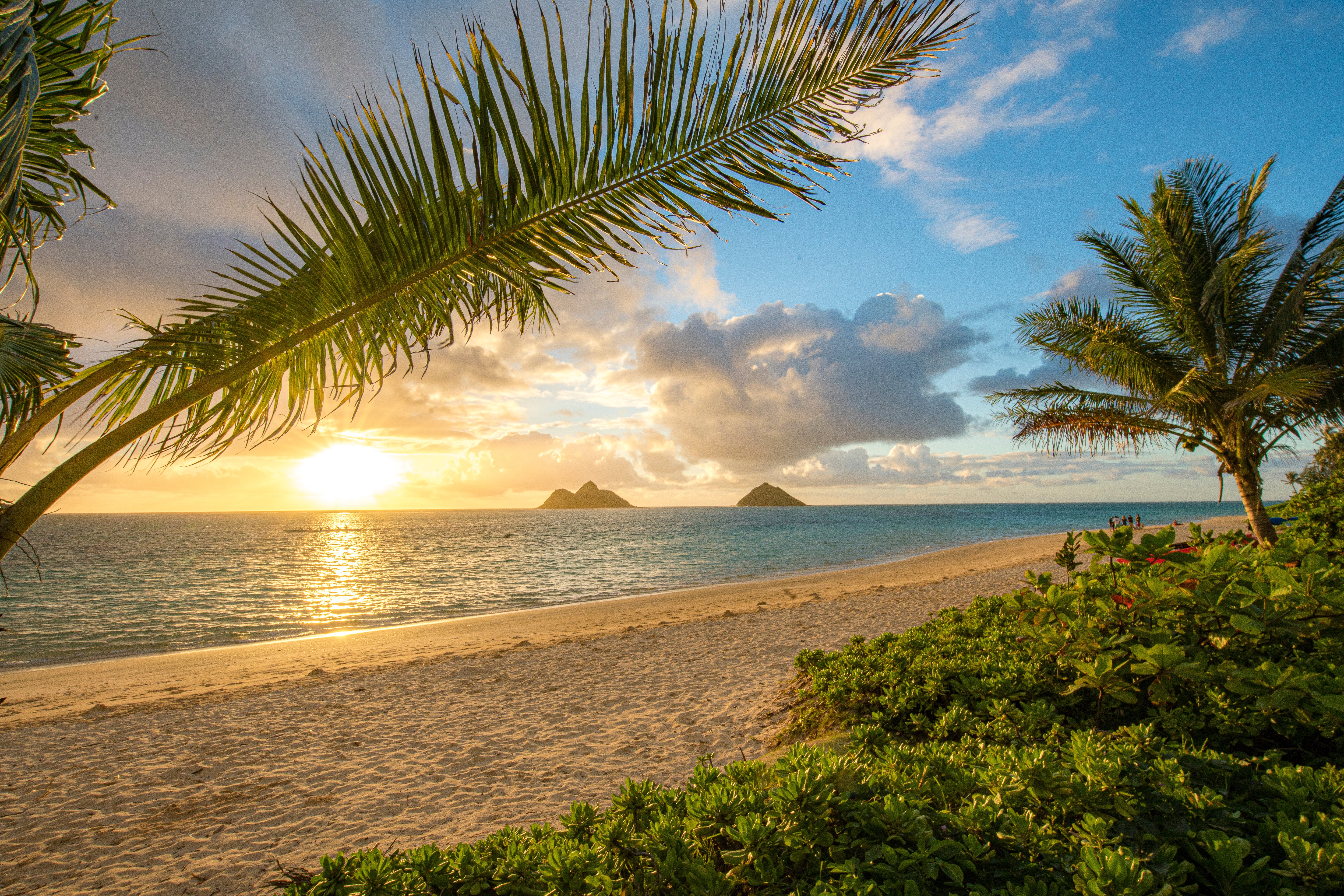 Hawaii 2026 (Coming Soon)